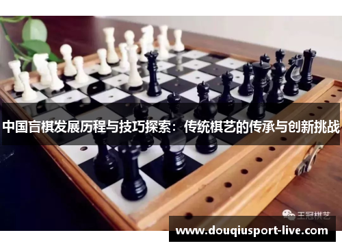中国盲棋发展历程与技巧探索：传统棋艺的传承与创新挑战