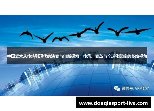 中国武术从传统到现代的演变与创新探索：传承、变革与全球化影响的多维视角